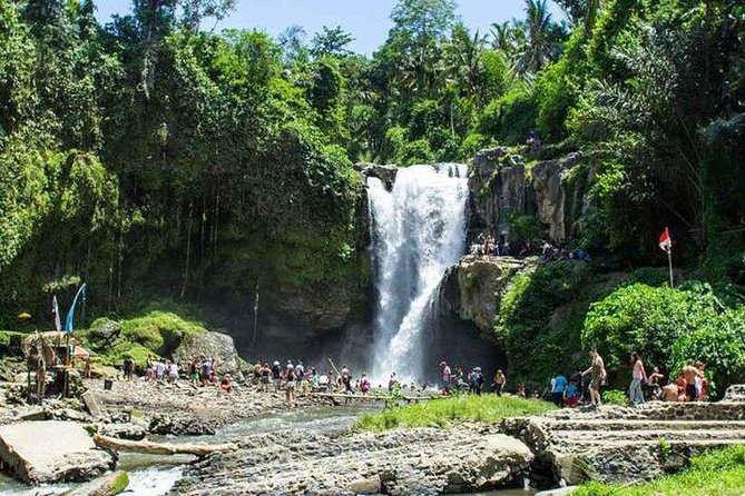 Private Day Tour: The Highlight of Ubud - A Ubud highlight day that’s built for real time limits