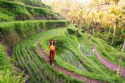 Private Day Tour: The Highlight of Ubud - Morning pickup: expect a long day, then a calm finish