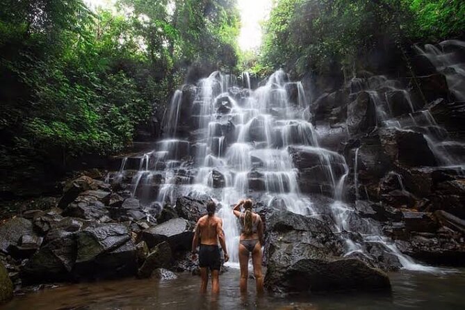 Private Day Tour To Waterfalls And Ubud Sightseeing - Key highlights you’ll care about