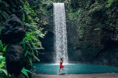 Private Day Tour To Waterfalls And Ubud Sightseeing - Price and what you actually get for $42