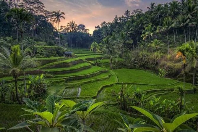 Private Day Tour To Waterfalls And Ubud Sightseeing - Tibumana Waterfall: quieter scenery after the first falls
