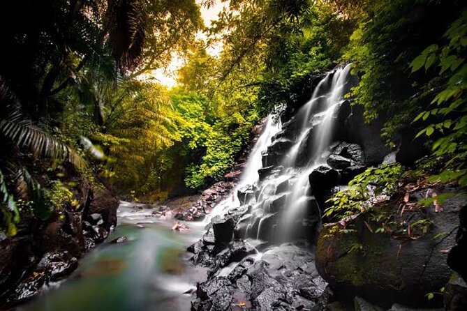 Private Day Tour To Waterfalls And Ubud Sightseeing - Tegalalang Rice Terrace: the classic Ubud lookout with time to linger
