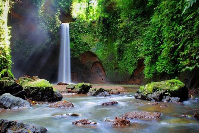 Private Day Tour To Waterfalls And Ubud Sightseeing - Coffee plantation tasting: a sweet ending after waterfalls