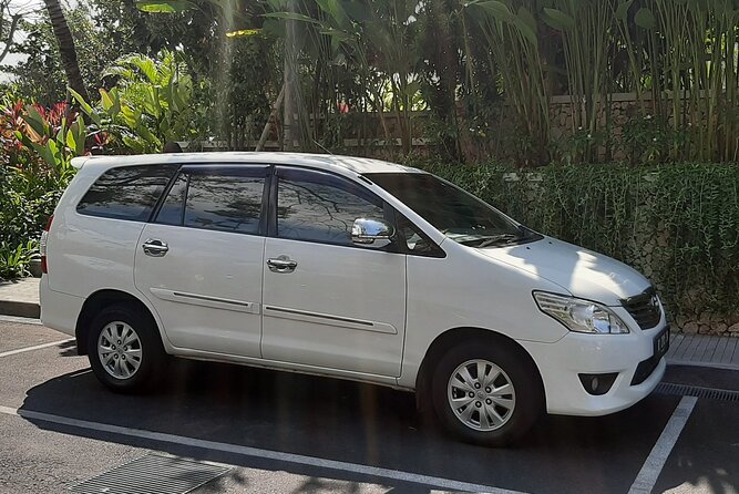 Private Driver in Bali with English Speaking - Private driver in Ubud: why this is the smart way to move