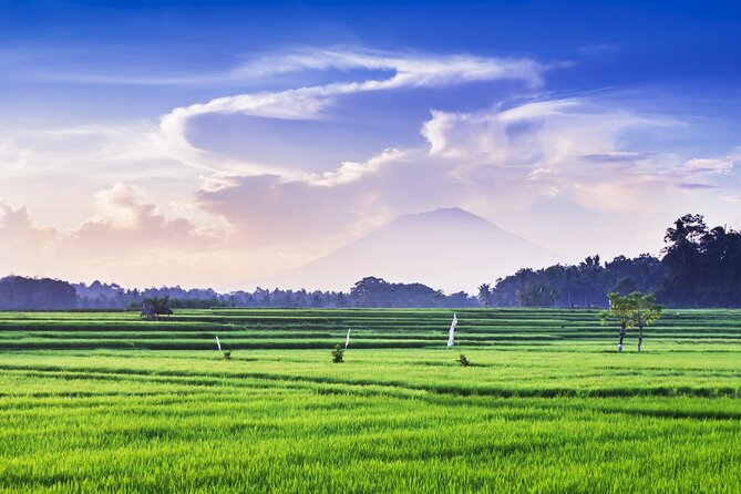 Private Experience: Bali Village Tour - Penglipuran Village: old gates, tidy compounds, and real daily life