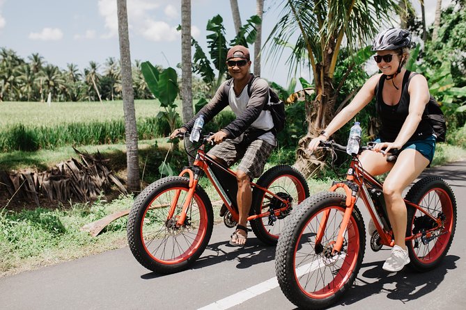 Private Fat Tire E-Bike Tour in Ubud - Your route options: building your own Ubud loop