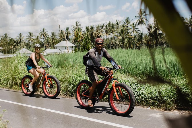 Private Fat Tire E-Bike Tour in Ubud - Tegalalang Rice Terrace stop: short timing, strong payoff
