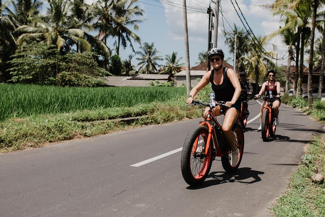 Private Fat Tire E-Bike Tour in Ubud - What you actually get during the ride: snacks, water, and a real meal