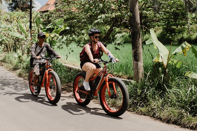 Private Fat Tire E-Bike Tour in Ubud - How the guide experience changes the whole ride (Wayan Budiana is a name to remember)