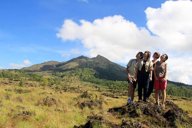 Private Full-Day Bali Sightseeing Tour with Pickup and Lunch - What the $150 price buys you (and why it can be good value)
