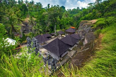 Private Full-Day Tour: Balinese Temples and Rice Terraces - Stop 1: Ubud Monkey Forest and how to stay safe (and sane)