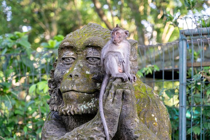 Private Full-Day Tour: Balinese Temples and Rice Terraces - Lunch at D Alas Warung: jungle views, real food, and a reset
