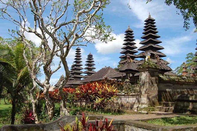 Private Jatiluwih Rice Terraces Heritage Site and Culture Tour - The Real Secret Sauce: Private Guide Energy From Dewa Alit