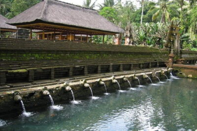 Private Shore Excursion: Highlights of Bali - Satria Agrowisata coffee break plus Temen village time