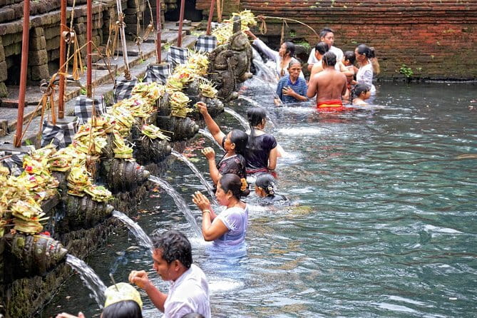 Private Shore Excursion: Highlights of Bali - Tegalalang Rice Terrace: make 15 minutes count