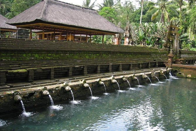 Private Shore Excursion: Highlights of Bali - Satria Agrowisata coffee break plus Temen village time