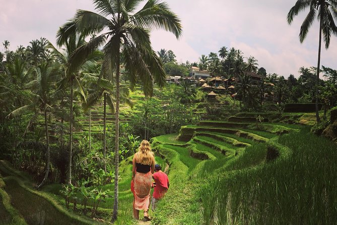 Private Tour: Balinese Culture and Scenery (visit ubud area) - Mount Batur Views: Short Stop, Volcano Scale (30 minutes)