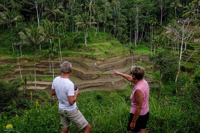Private Tour: Balinese Culture and Scenery (visit ubud area) - Price and Value: $65 for a Private Day, Plus What to Budget