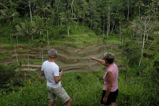 Private Tour: Balinese Culture and Scenery (visit ubud area) - Who This Tour Fits Best (and who might want another plan)
