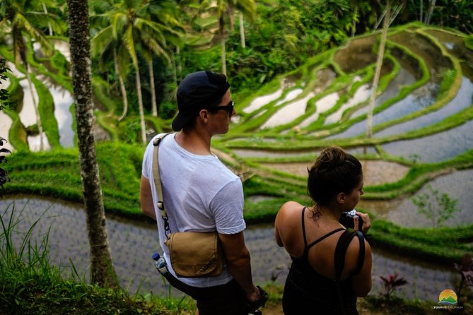Private Tour: Balinese Culture and Scenery (visit ubud area) - Tirta Empul Temple: Holy Spring Water and Real Local Practice (1 hour)