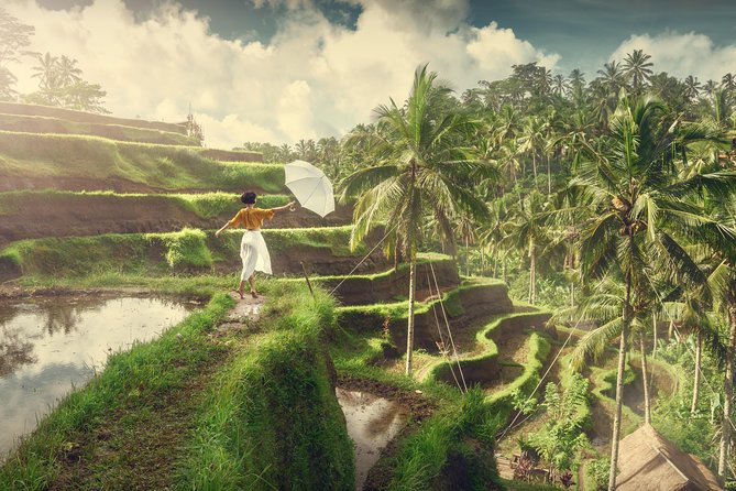 Private Tour: Best of Bali - All Inclusive Tickets - Why this Best of Bali private day feels efficient