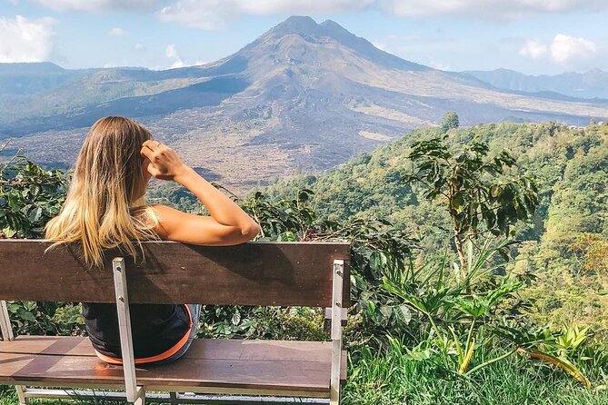 Private Tour: Best of Bali - All Inclusive Tickets - Optional extra stops: how to use the time window