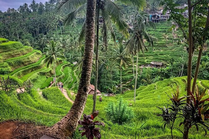 Private Tour: Best of Bali - All Inclusive Tickets - Pickup at 9:00 am: what the day rhythm is like
