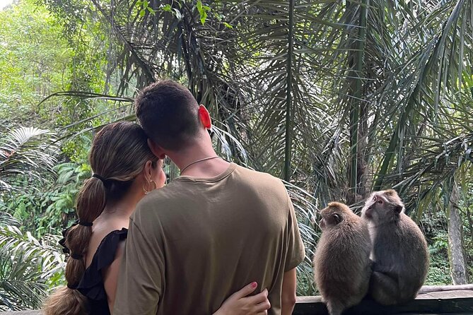 Private tour, discover the beauty of bali - Price and value: what $94.62 buys you in a day