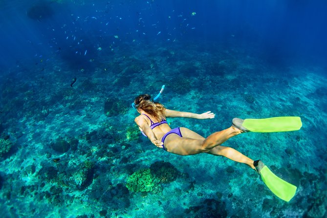 Private Tour: Heaven Gate Temple, Tirta Gangga and Blue Lagoon Snorkeling - A private route through Heaven Gate, Tirta Gangga, and reef time