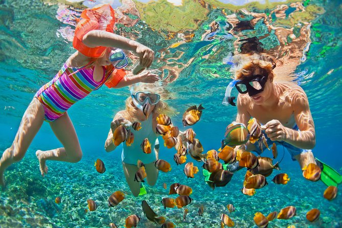 Private Tour: Heaven Gate Temple, Tirta Gangga and Blue Lagoon Snorkeling - A full-day schedule that feels planned, not rushed