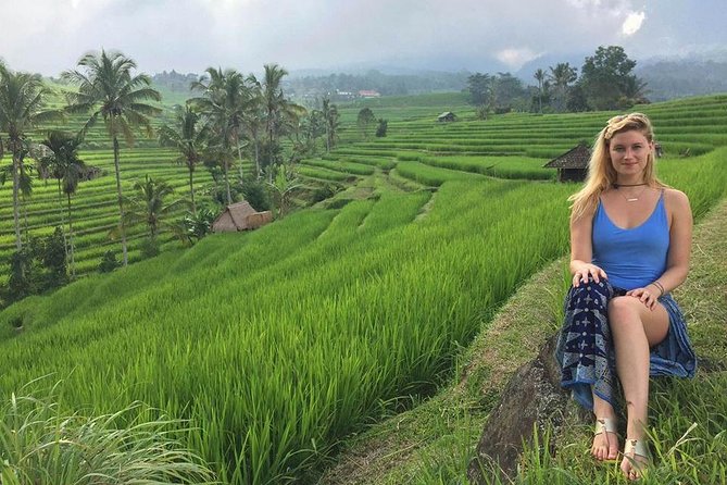 Private Tour Highlight of Bedugul and Jatiluwih Rice Terrace - Your driver can make or break the day (and this one is well reviewed)