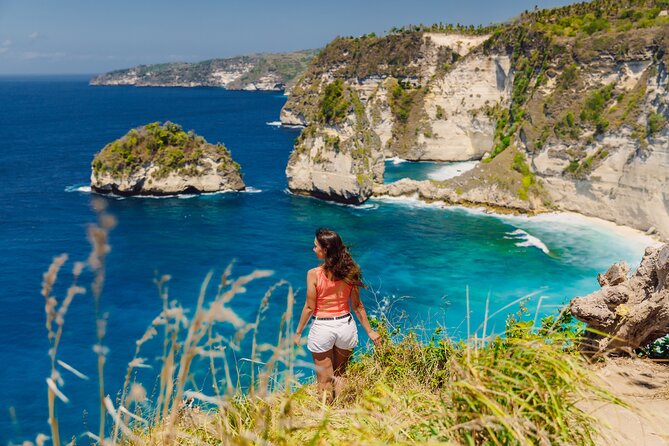 Private Tour: Nusa Penida DiamondBeach-Tree House EastSide Island - Key Details You Should Know Before You Go
