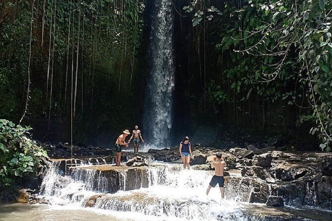 Private Tour to Sumampan Waterfall, Monkey forest, Rice terraces and Swing - d’Alas Swing: The Photo Moment That Feels Like a Mini Adventure