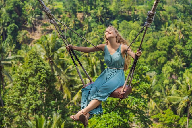 Private Tour: Ubud and Tanah Lot Day Tour - How much you’ll spend and where the value is