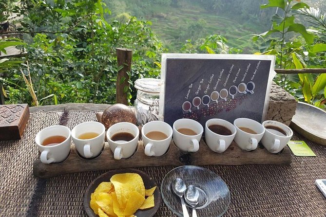 Private Tour: Ubud Day Tour with Traditional Offering Lesson - Sacred Monkey Forest Sanctuary: More Than a Photo Stop