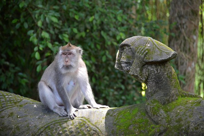 Private Tour: Ubud Day Tour with Traditional Offering Lesson - Lunch by Lush Rice Fields: A Break That Actually Matters