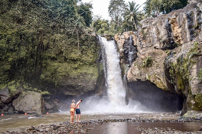 Private Ubud and Volcano Day Trip - Bali swing is optional: when it makes sense