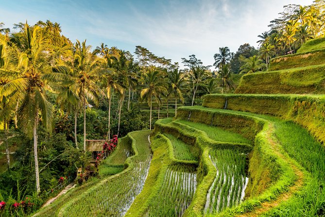 Private Ubud Day Tour - Stop 4: Puseh Batuan Temple and the Black Palm Roof