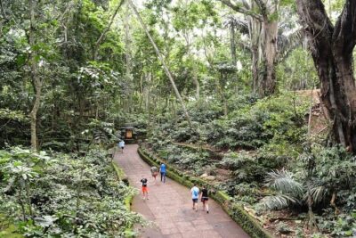 Private Ubud Day Tour - Stop 1: Sacred Monkey Forest Sanctuary and Temple Corners