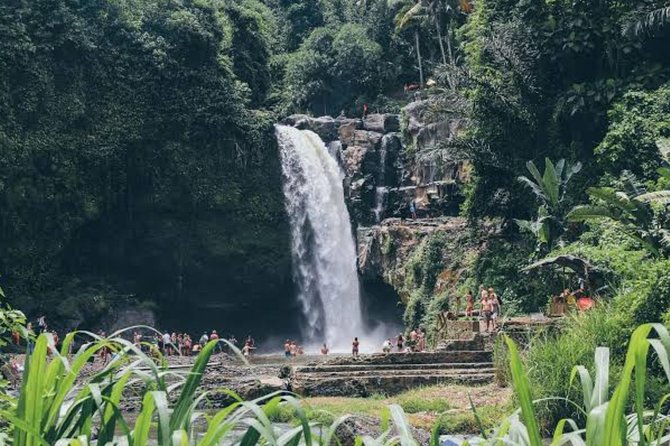 Private Ubud Day Tour - Who This Tour Is Best For (and Who Should Rethink)