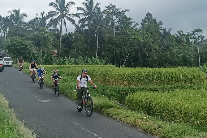 Private Ubud Downhill Cycling with Volcano, Rice Paddies & Meal - Why this Ubud downhill ride feels easier than you expect