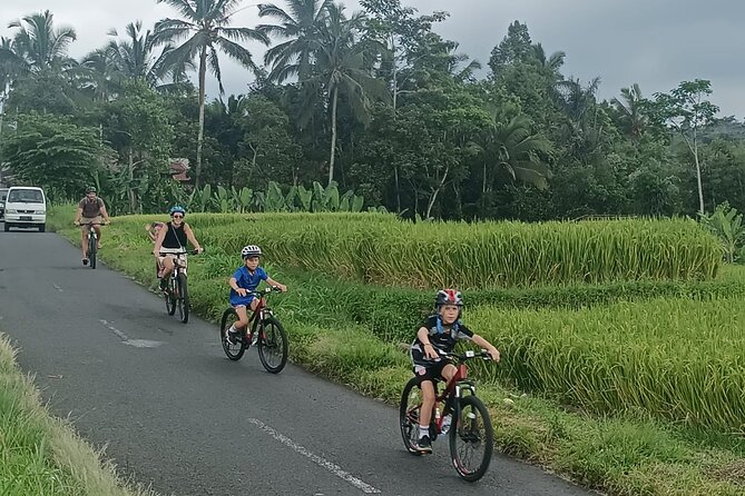 Private Ubud Downhill Cycling with Volcano, Rice Paddies & Meal - Pura Dalem Pukuh to Manukaya: where the downhill part really takes off