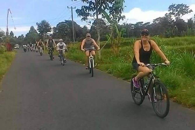 Private Ubud Downhill Cycling with Volcano, Rice Paddies & Meal - Lunch in Ubud: Balinese food with real dietary choices