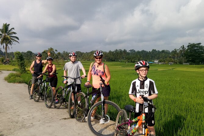 Private Ubud Downhill Cycling with Volcano, Rice Paddies & Meal - Who this tour fits best (and who should choose carefully)