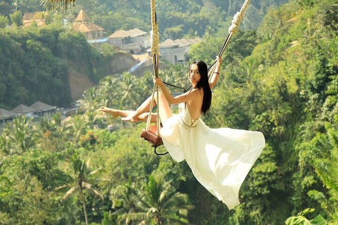 Private Ubud Tour: Monkey Forest, Waterfall & Rice Terrace - Campuhan Ridge Walk and art museums: views plus Balinese art context