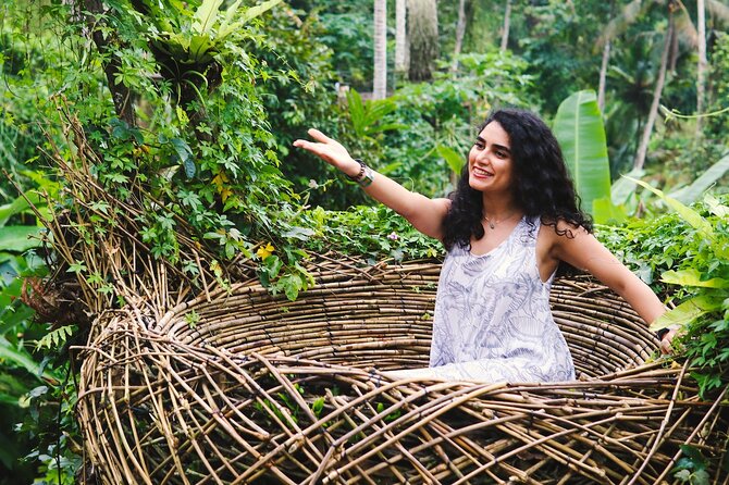 Private Ubud Tour: Waterfall, Rice Terrace & Monkey Forest - Sacred Monkey Forest Sanctuary: fun, fast, and monkey-smart