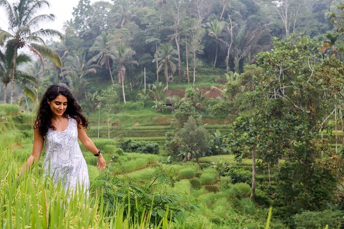 Private Ubud Tour: Waterfall, Rice Terrace & Monkey Forest - Private guide flow: comfort, timing, and the photo advantage