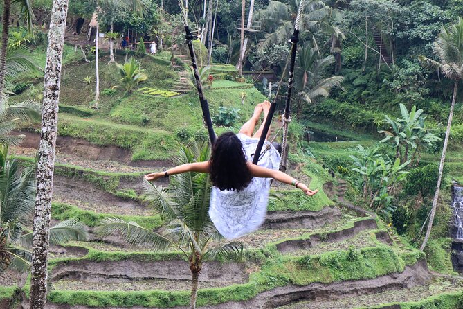 Private Ubud Tour: Waterfall, Rice Terrace & Monkey Forest - Price and value: why $39 can make sense for this route