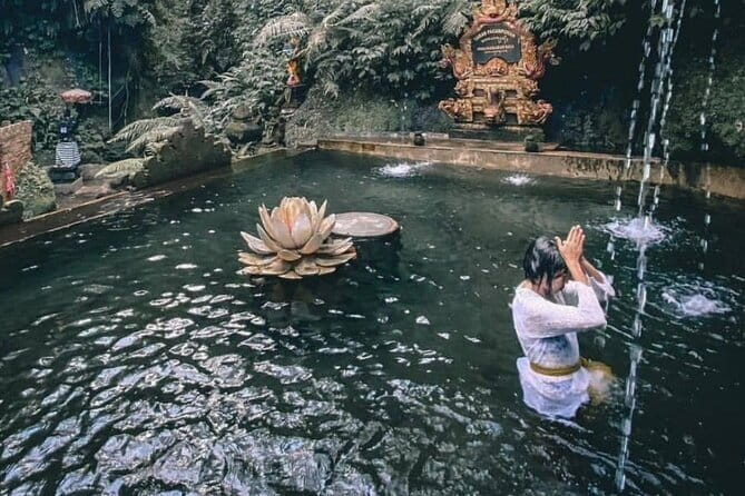 Purification Ceremony, Kehen Temple and Goa Raja Waterfall Tour - Who This Tour Fits Best (and Who Might Skip It)