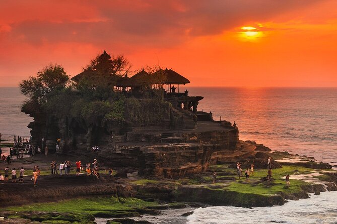 Royal Family Temple, Monkey Forest, and Tanah Lot Sunset Tour - Price and logistics: what $44 covers (and why it matters)